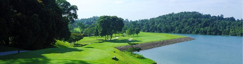 The New Course.jpg